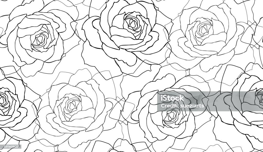 Beautiful Roses Black And White Line Art Seamless Pattern Stock