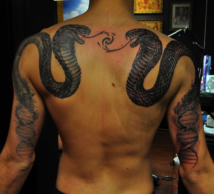 Best Snake Tattoos Designs Ideas February 2021 Cobra Tattoo