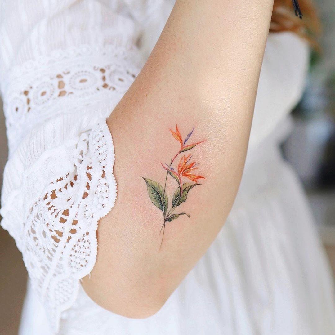 Bird Of Paradise Flower Tattoo By Vane Tattoo Bird Of Paradise Tattoo Flower Tattoo