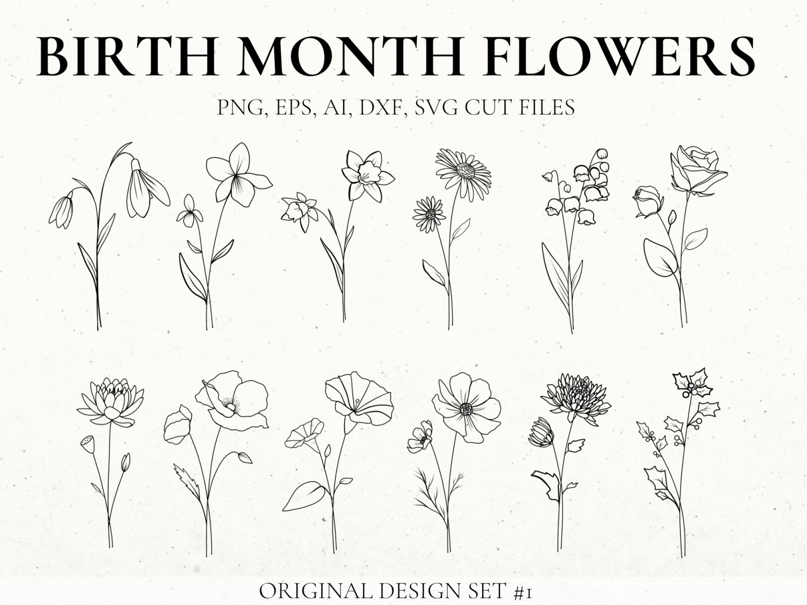 Birth Flower Drawing