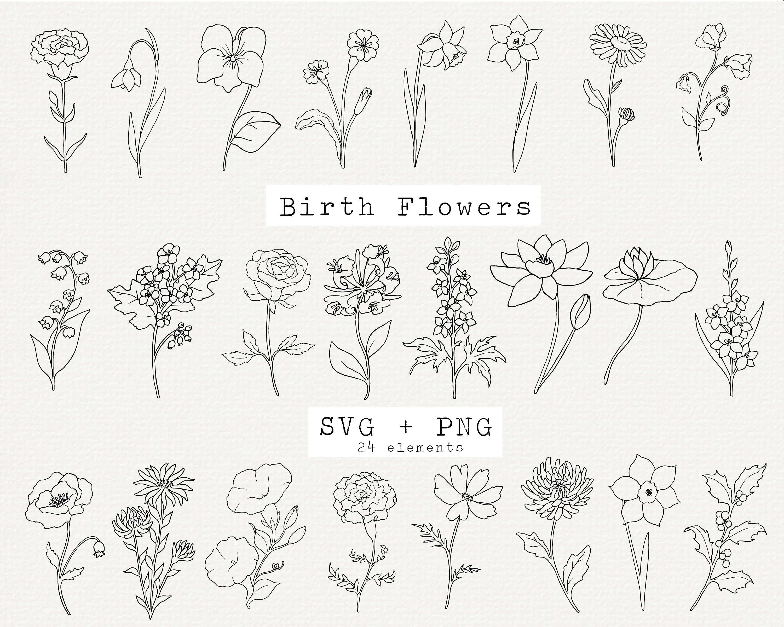 Birth Flower Svg Bundle Birth Month Flower Outline Drawings Birthday