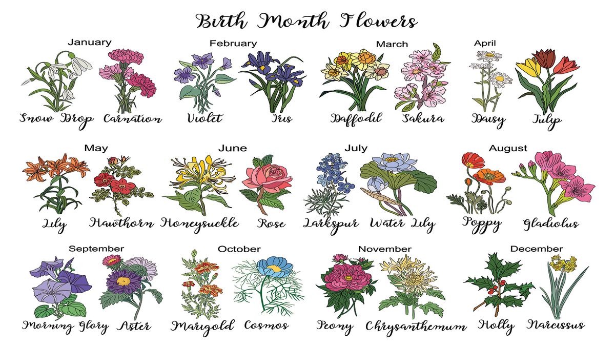 Birth Flowers By Month Which Plants Represent Your Birthday