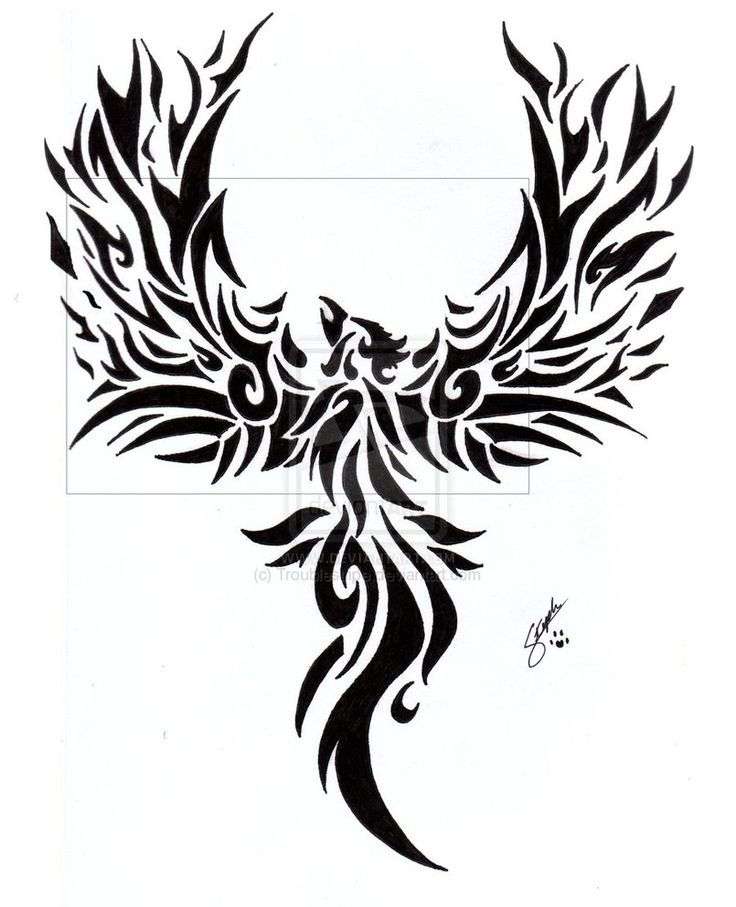 Black Flame Phoenix Tribal Tattoo Design Luckyfish Inc And Tattoo