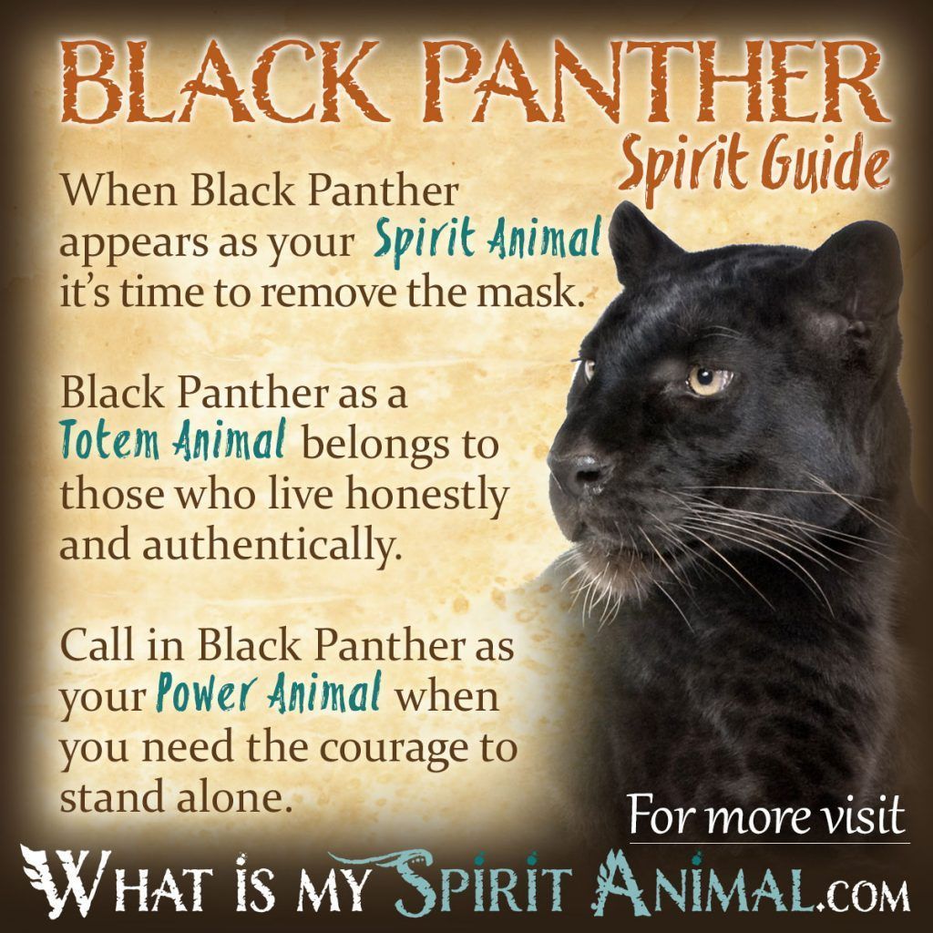 Black Panther Symbolism Meaning Spirit Totem Power Animal