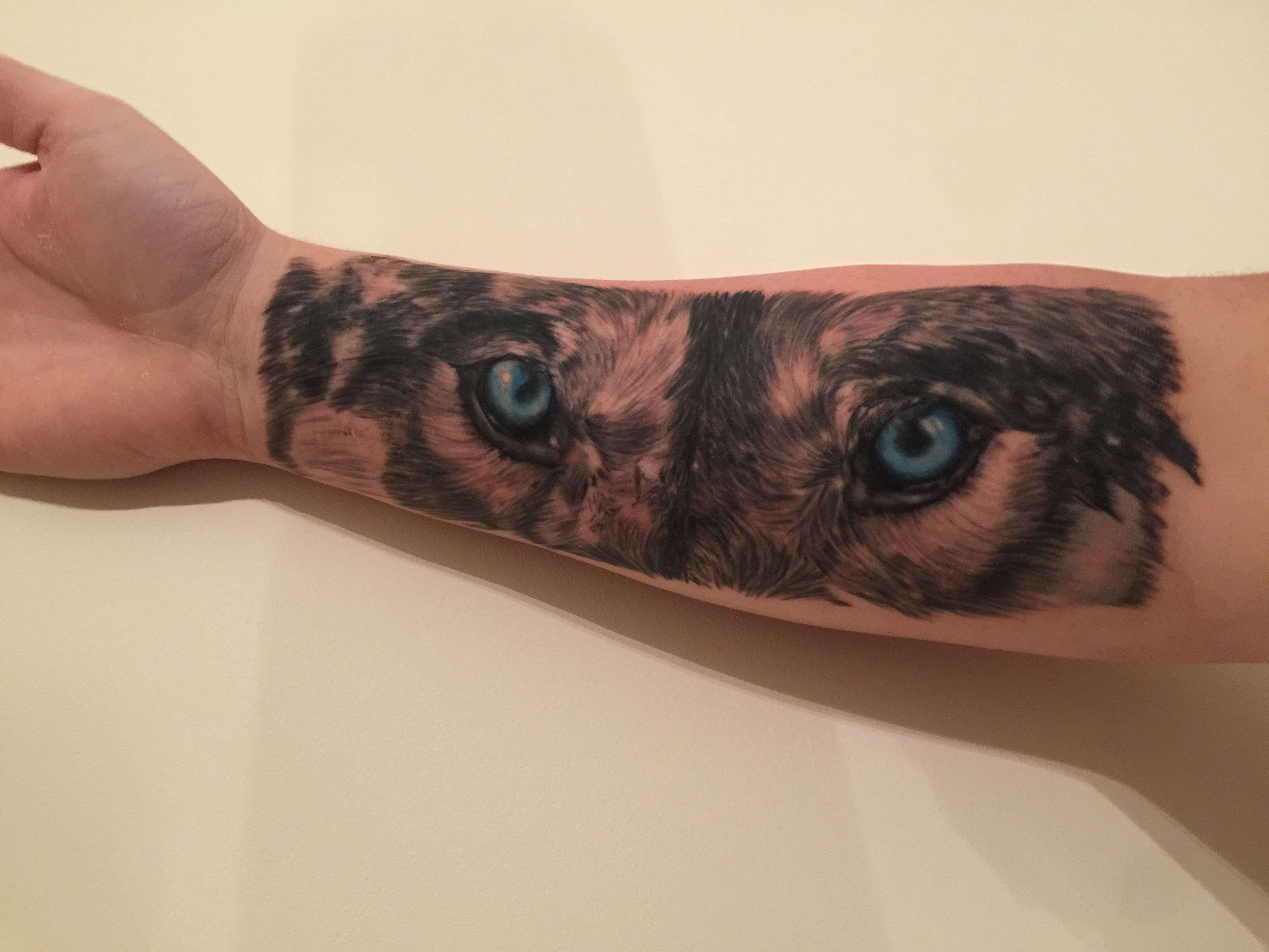 Blue Eyed Wolf Tattoo