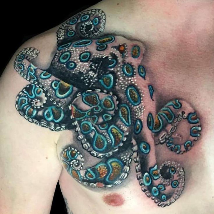 Discover the Mystery: Blue Ringed Octopus Tattoo Inspiration