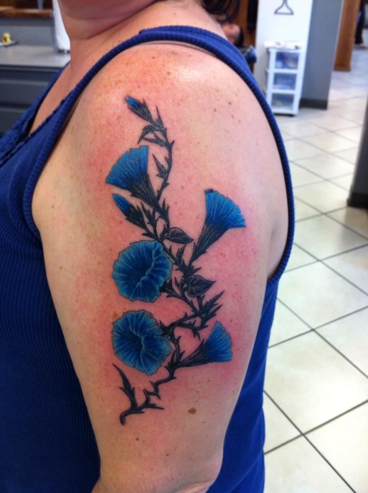 Brainstorm Tattoo Morning Glories Morning Glory Tattoo Tattoos