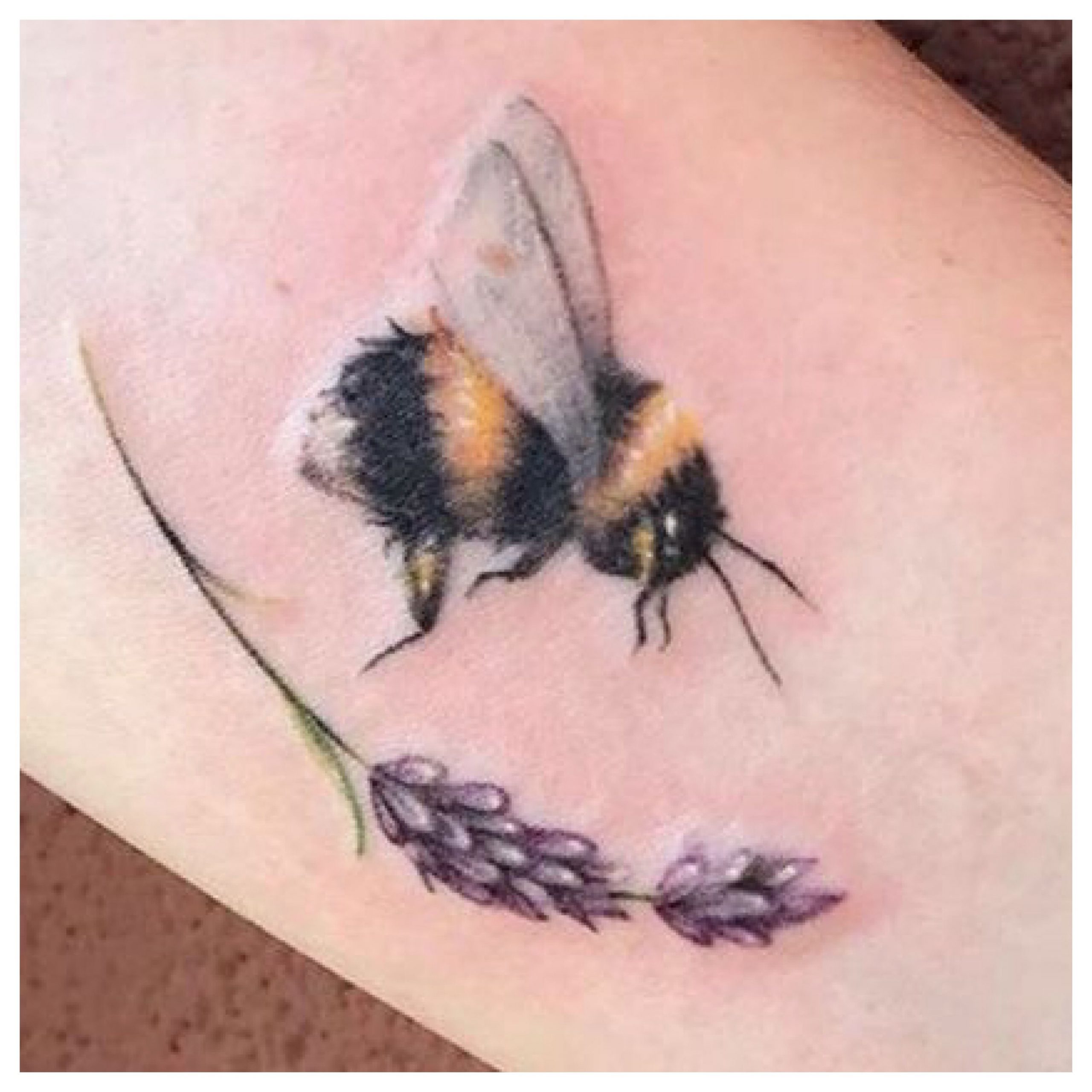 Bumble Bee Tattoo Ideas Male