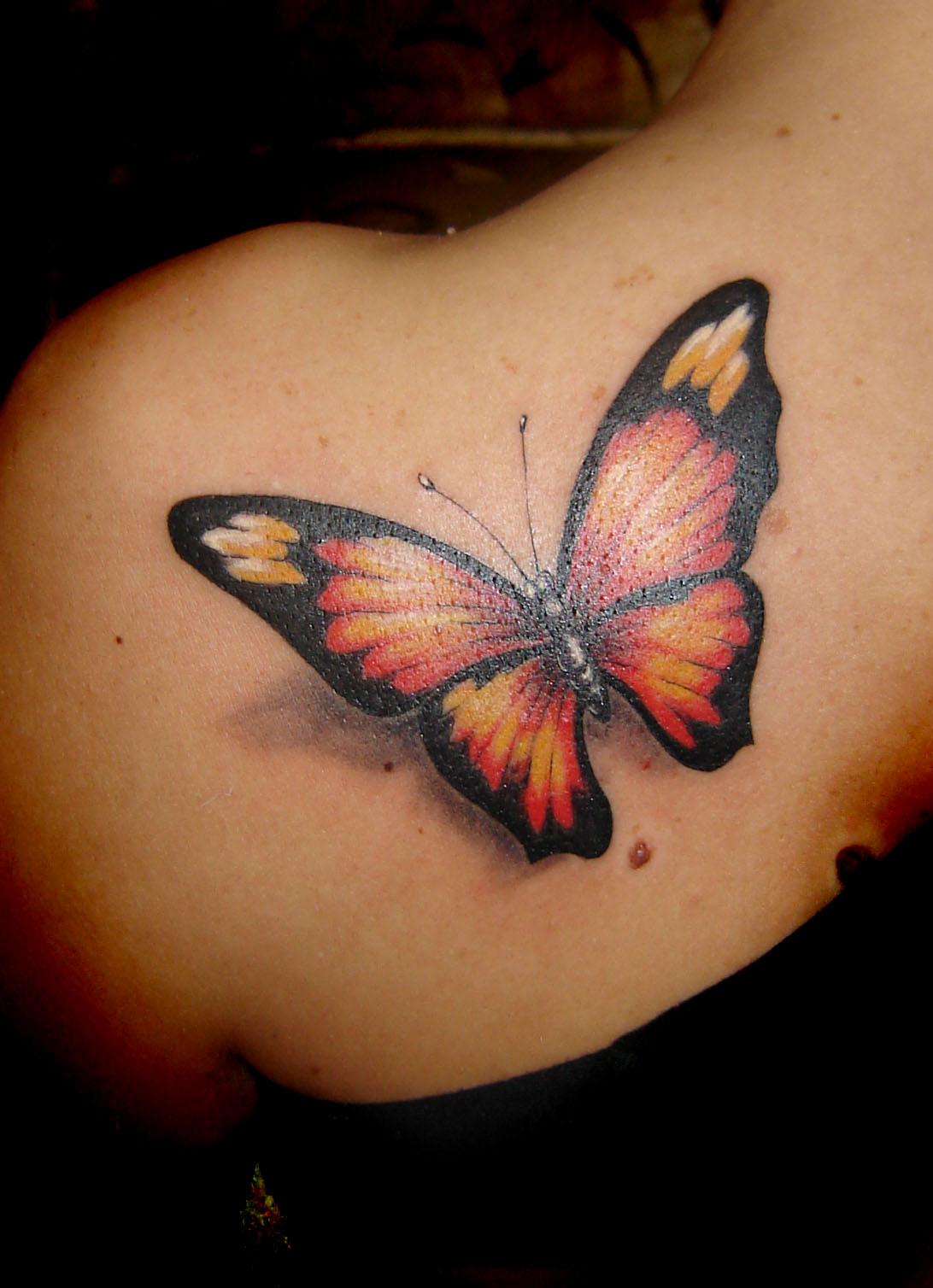 Butterfly Tattoos for Women: Elegant Designs and Meanings