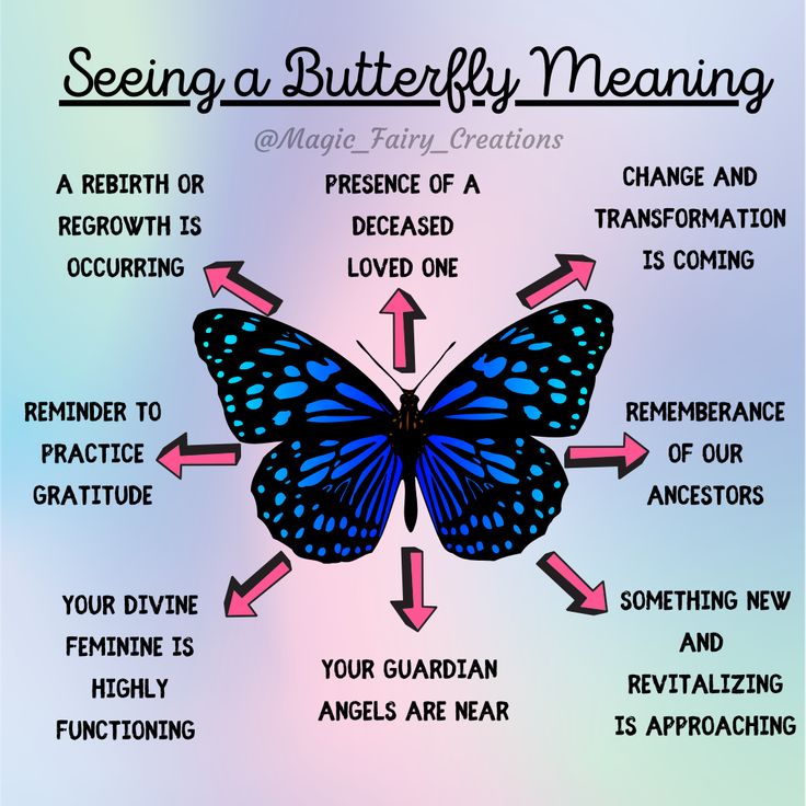 Butterfly Symbolism And Meaning What Do Butterflies Symbolize