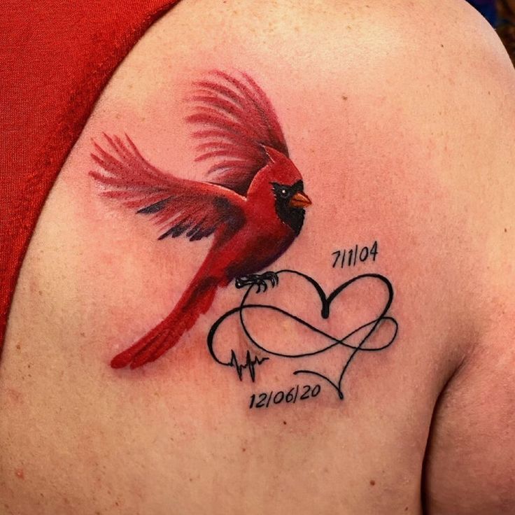 Cardinal Flying Memorial Tattoo Designs Feather Tattoos Trendy