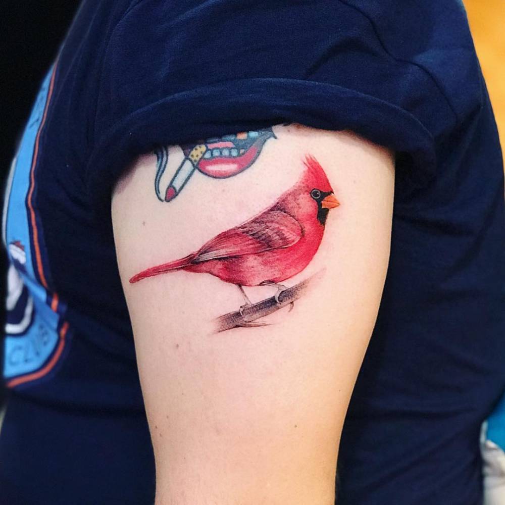 Cardinal Tattoo Meaning Symbolism Significance And Interpretations