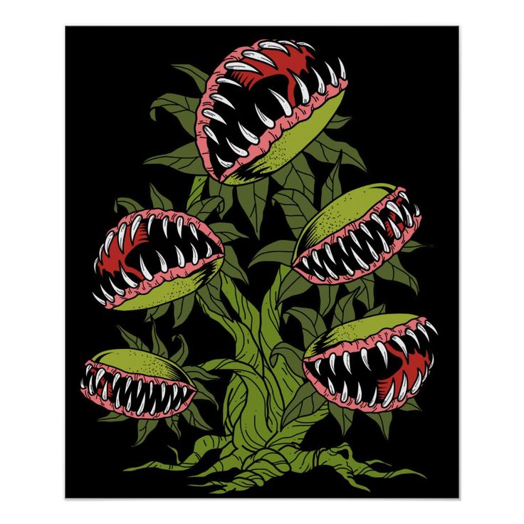 Carnivorous Plant Gifts Monster Venus Fly Trap Poster Size 20 Amp Quot X 24 Amp Quot Gender Unisex Age Group