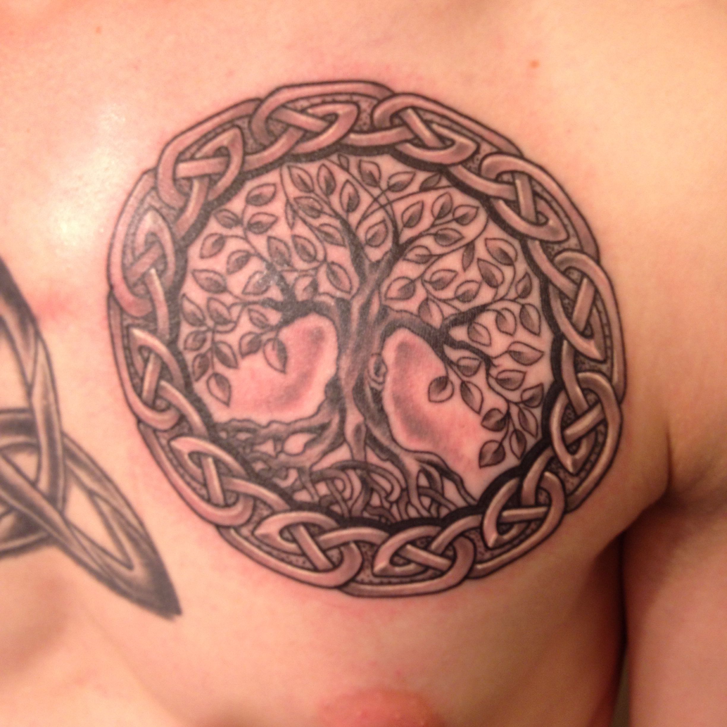 Celtic Life Tree Tattoo: Meaning and Design Ideas