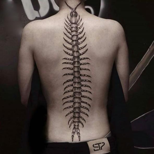 Centipede Spine Tattoo Ideas Bold Statements Of Intricate Ink