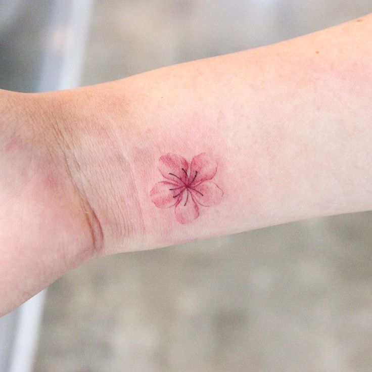 Cherry Blossom Tattoo 70 Designs And Meanings Minimal Tattoo