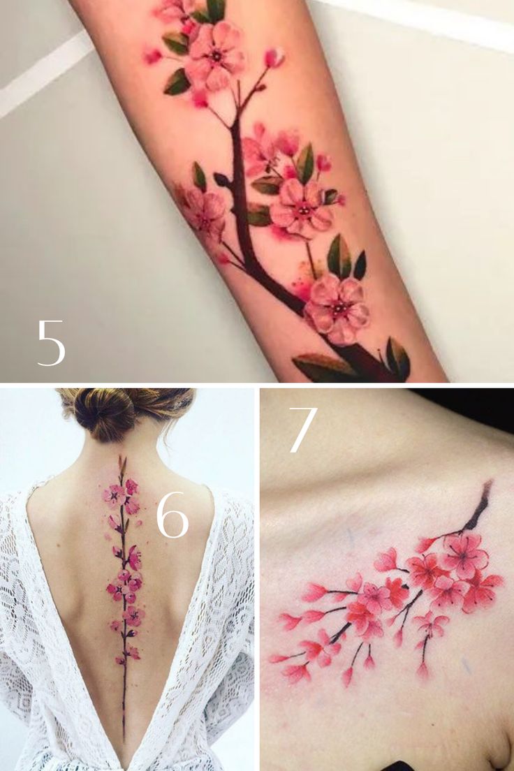 Cherry Blossom Tattoo Ideas 53 Beautiful Ideas Tattooglee Cherry Blossom Tattoo Cherry