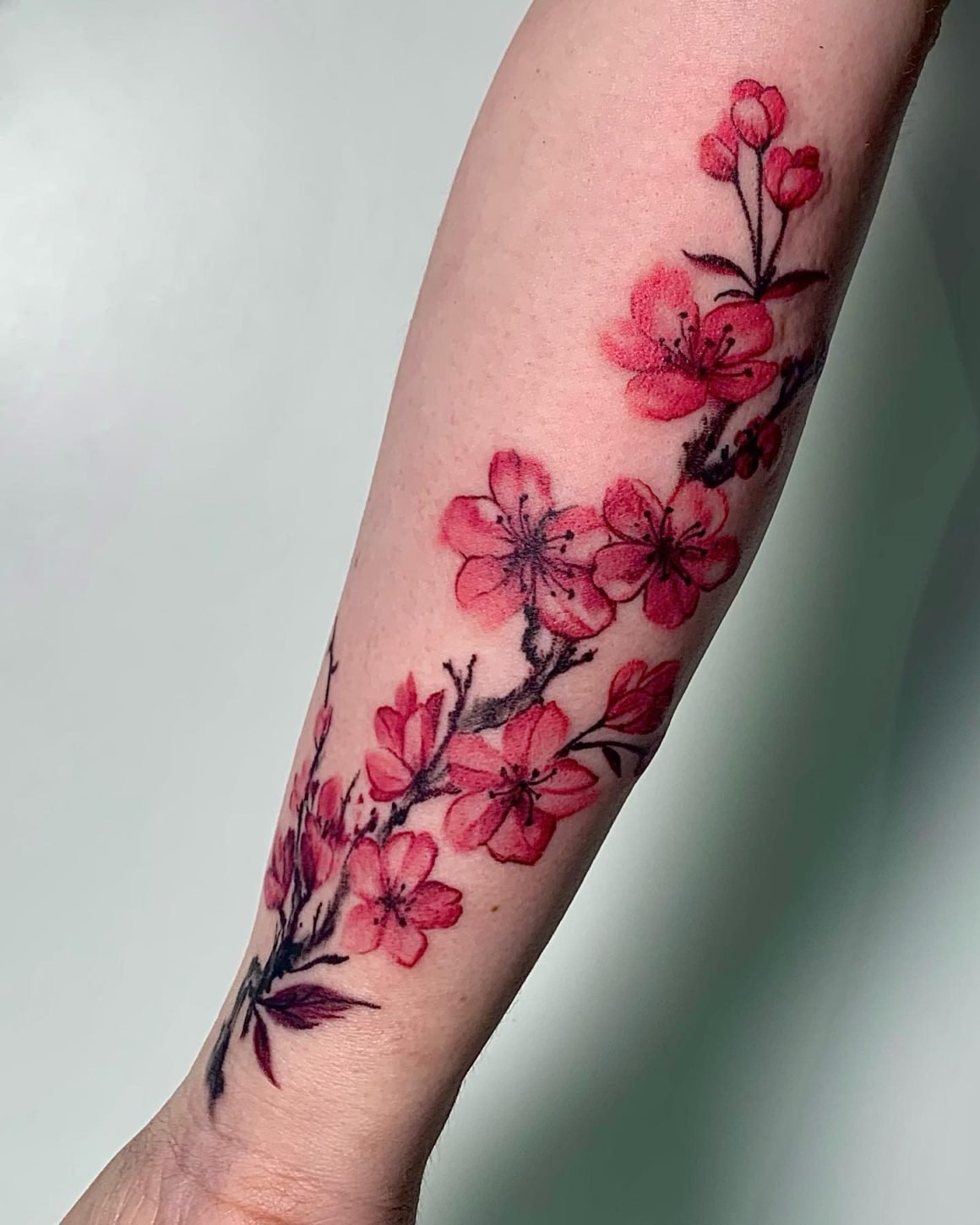 Cherry Blossom Tattoo Men Forearm