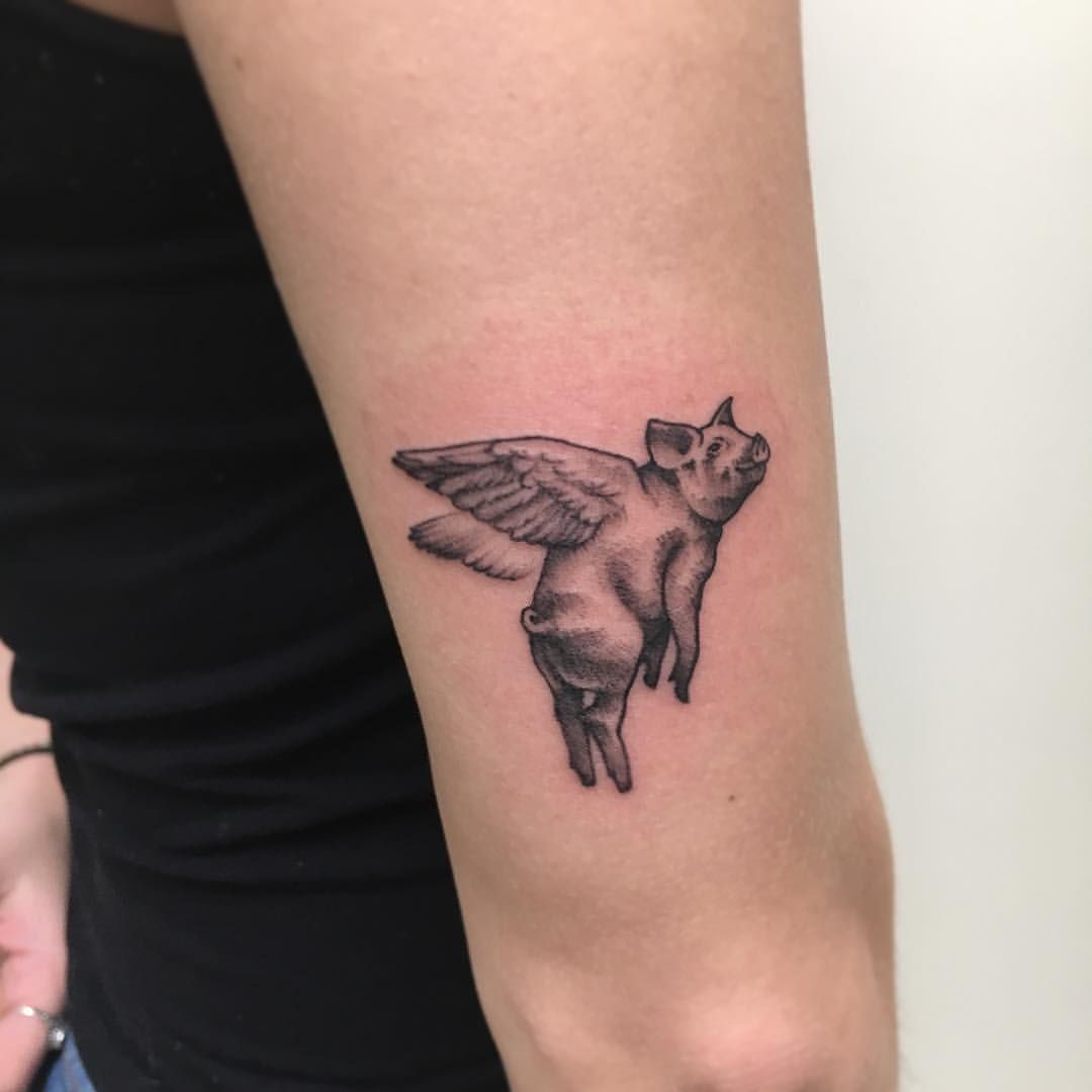 Chronic Ink Tattoo Blackwork Tattoos Karyann Flying Pig Flying Pig