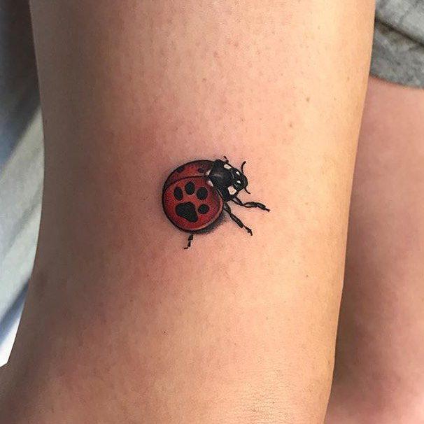 Cool Ladybug Tattoos Best Tattoo Ideas Gallery