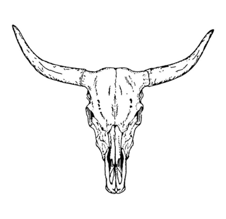 Cow Skull With Feathers Tattoos Longhorn Tattoo Bull Tattoos