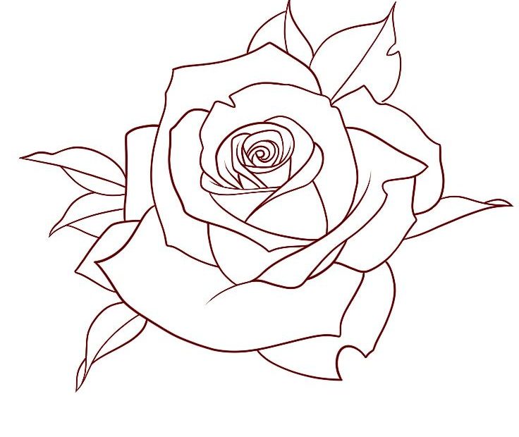 Create Stunning Rose Tattoo Designs With These Easy Outline Drawings