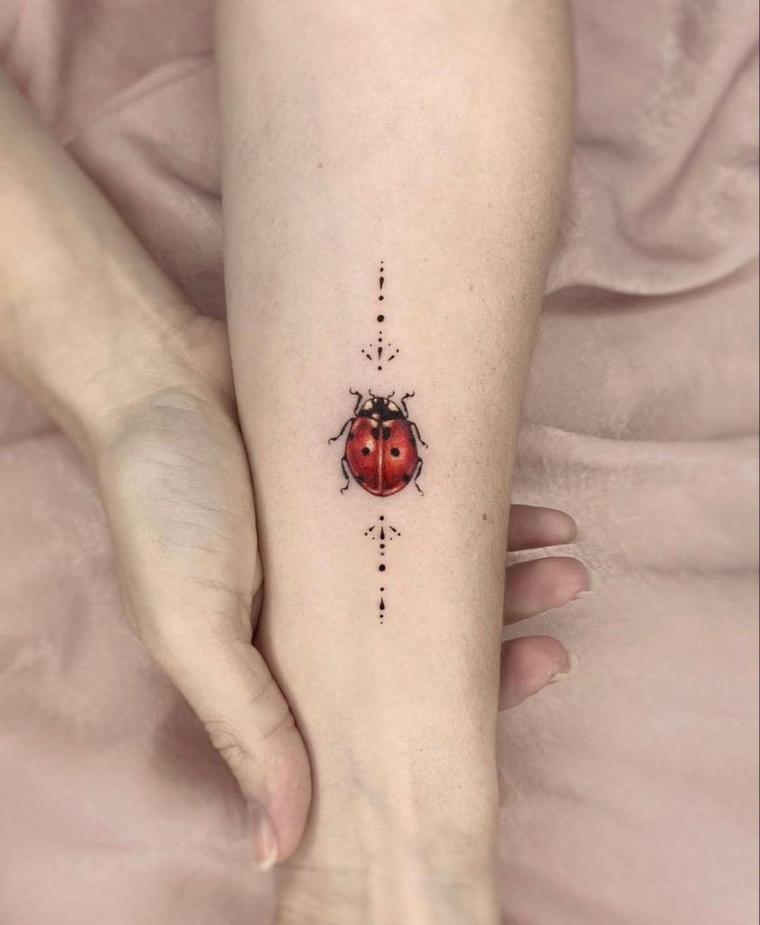 Cute Ladybug Tattoo Ideas Lady Bug Tattoo Bug Tattoo Ladybird Tattoo