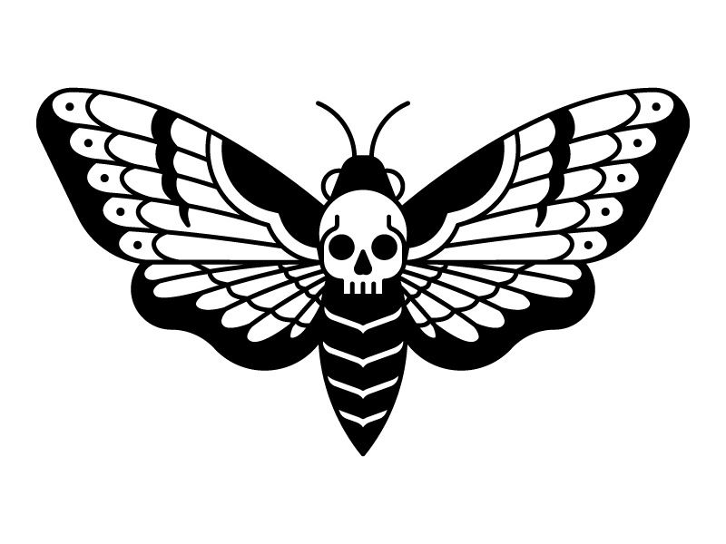 Deaths Head Hawk Moth Traditional Tattoo Stencils Moth Tattoo Design