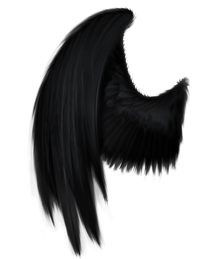 Demon Wings No Background Hd Png Download 1024X1024 1377626 Pngfind