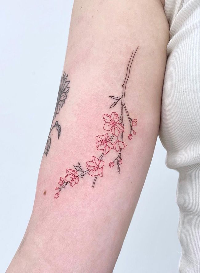 Details More Than 78 Fine Line Cherry Blossom Tattoo Best In Cdgdbentre