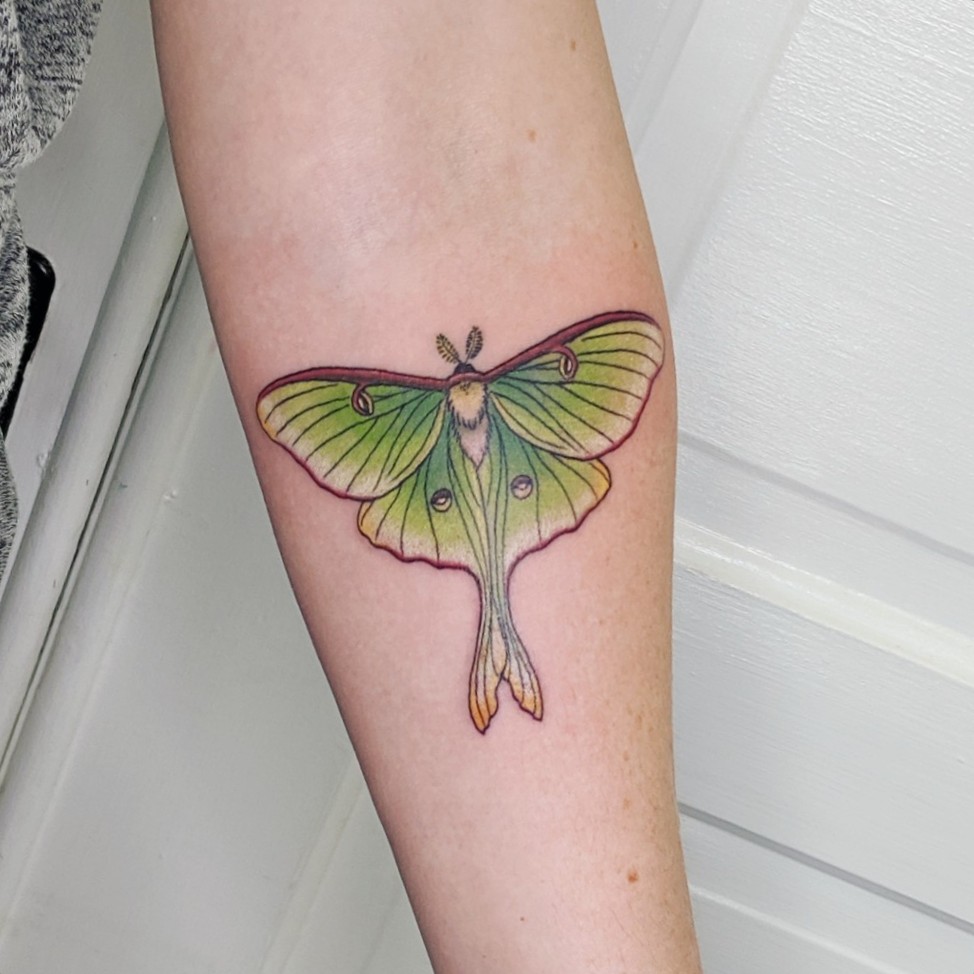 Discover 68 Lunar Moth Tattoo Best In Cdgdbentre