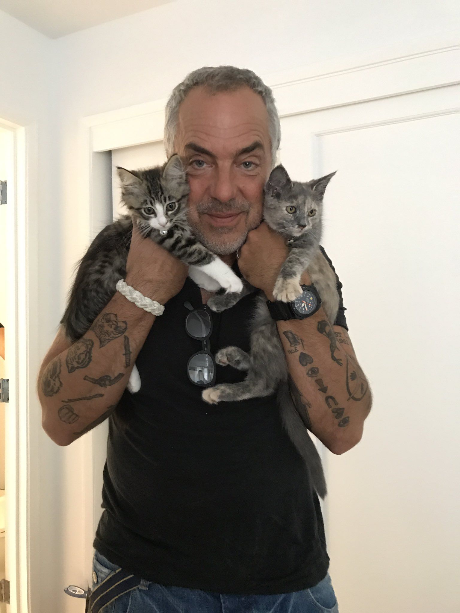 Does Titus Welliver Sport Tattoos? Here's the Truth