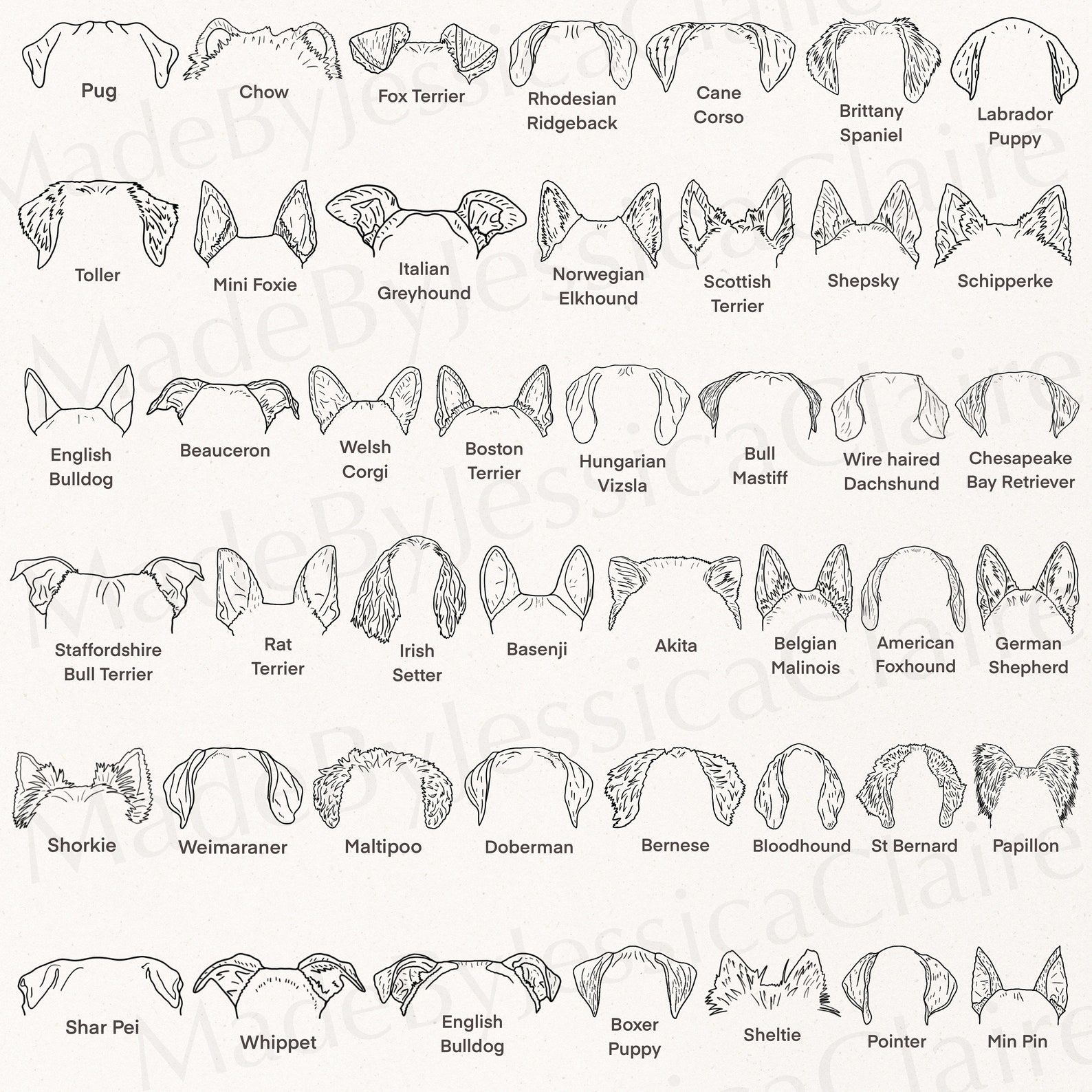 Dog Breed Ears Svg Hand Drawn Dog Ears Outline Bundle Etsy Dog