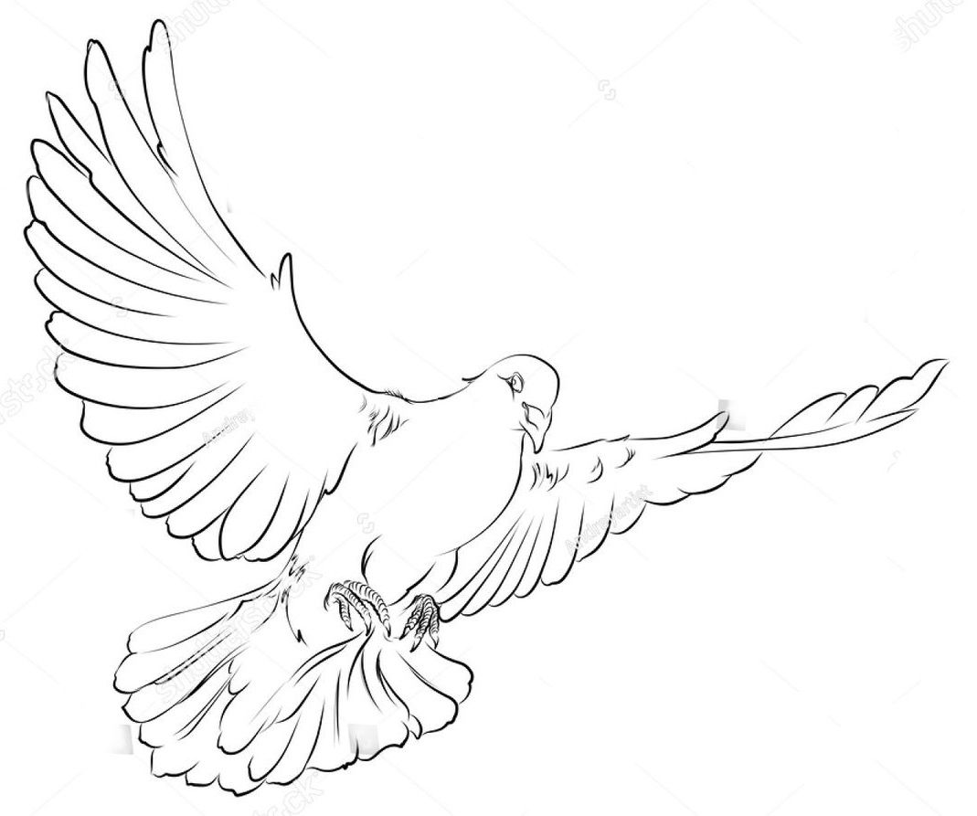 Dove Outline Tatted Up Pinterest Papierstickerei Tauben Tattoos