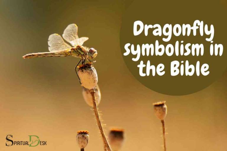 5 Biblical Insights into Dragonfly Symbolism