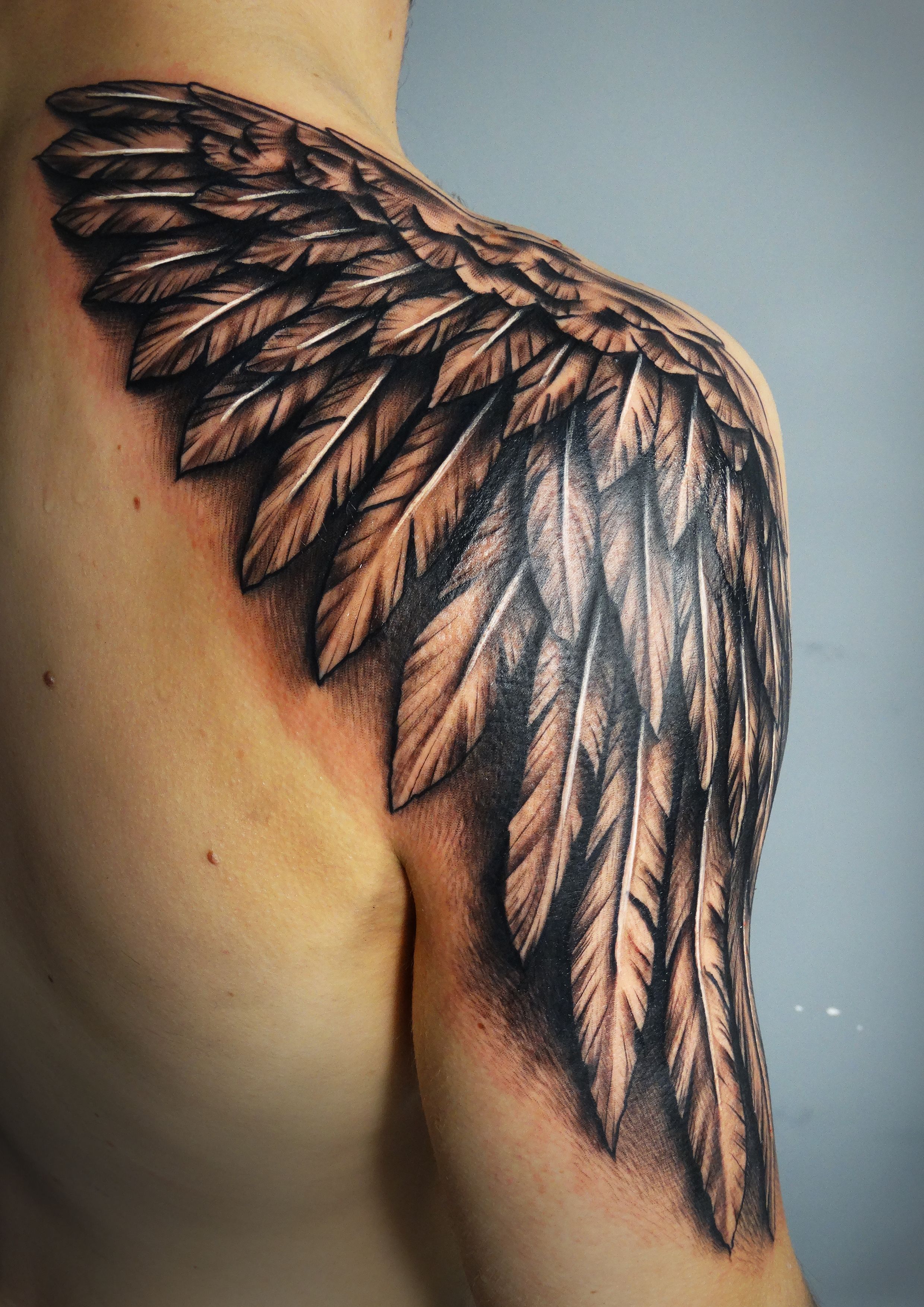 Eagle Wings In Tattoo Style Svg Animal Illustrations Creative Market