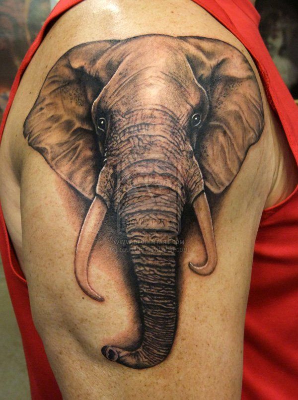 Elephant Tattoo Designs For Men