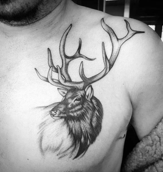 Elk Tattoo Designs