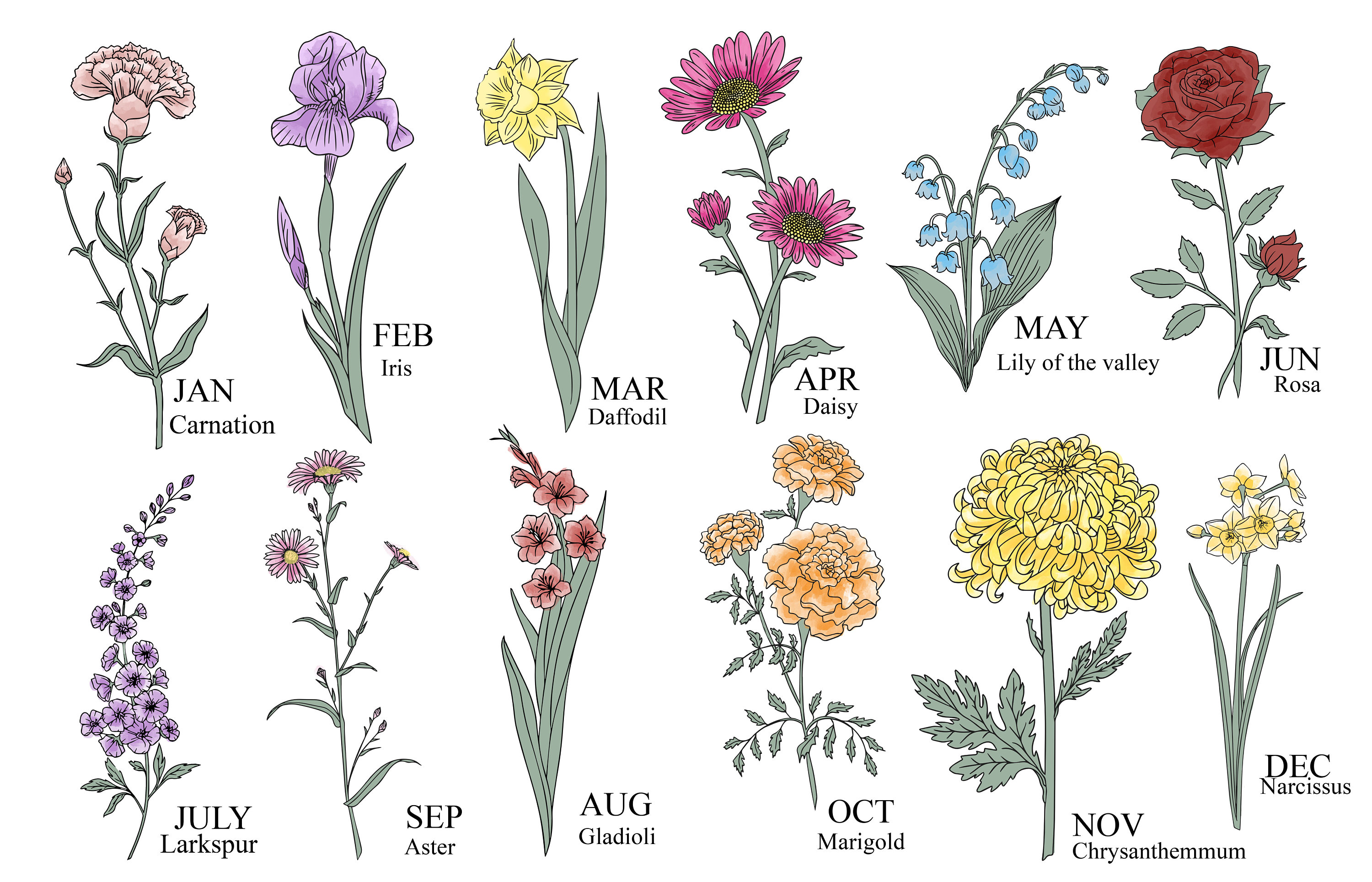 Family Birth Flower Design Names In Stems Personalized Mothers Day Gift