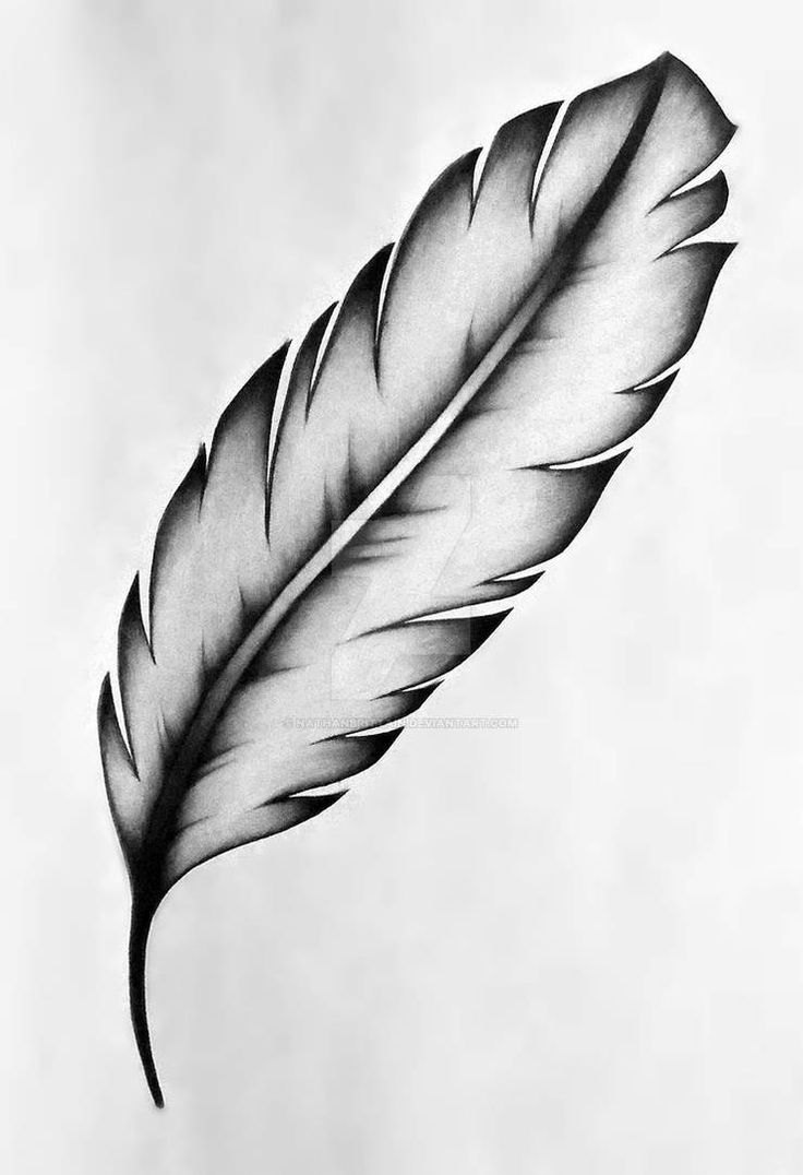 Feather Tattoo Designs for Women: Simple and Stylish Ideas