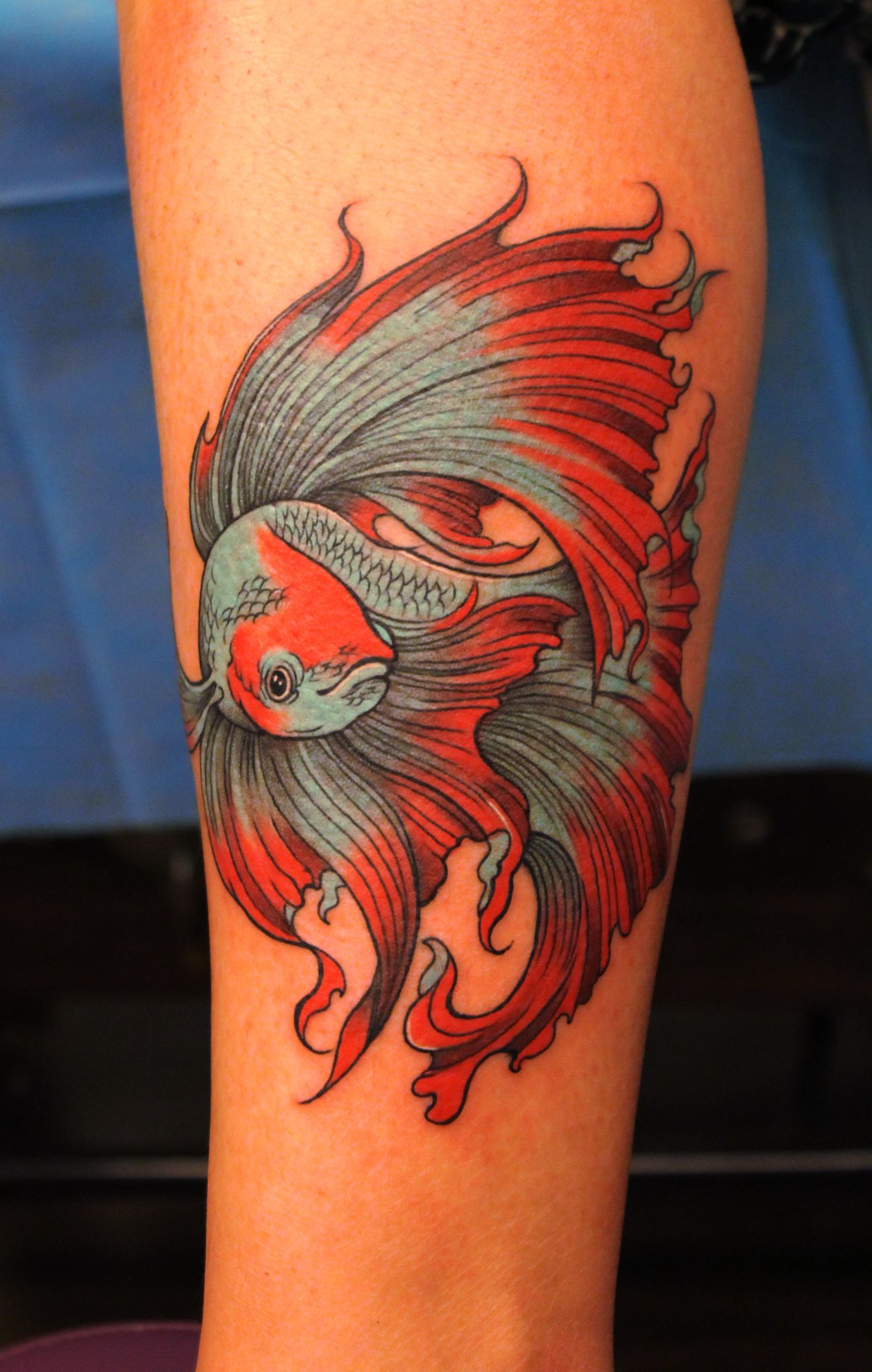 Fighting Fish Picture Tattoos Tattoos Betta Fish Tattoo