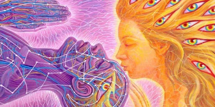 Find Your Twin Flame In Seven Steps Life Mates Now