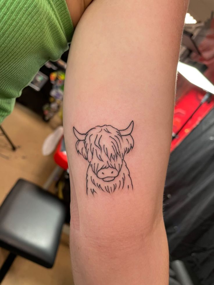 Fine Line Highland Cow Portrait Tattoo Located On The