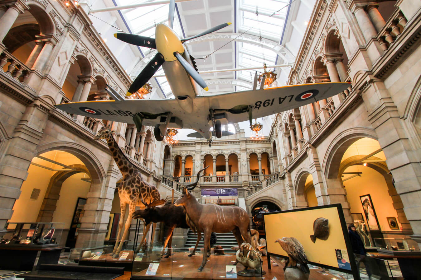 Five Must See Museums And Attractions