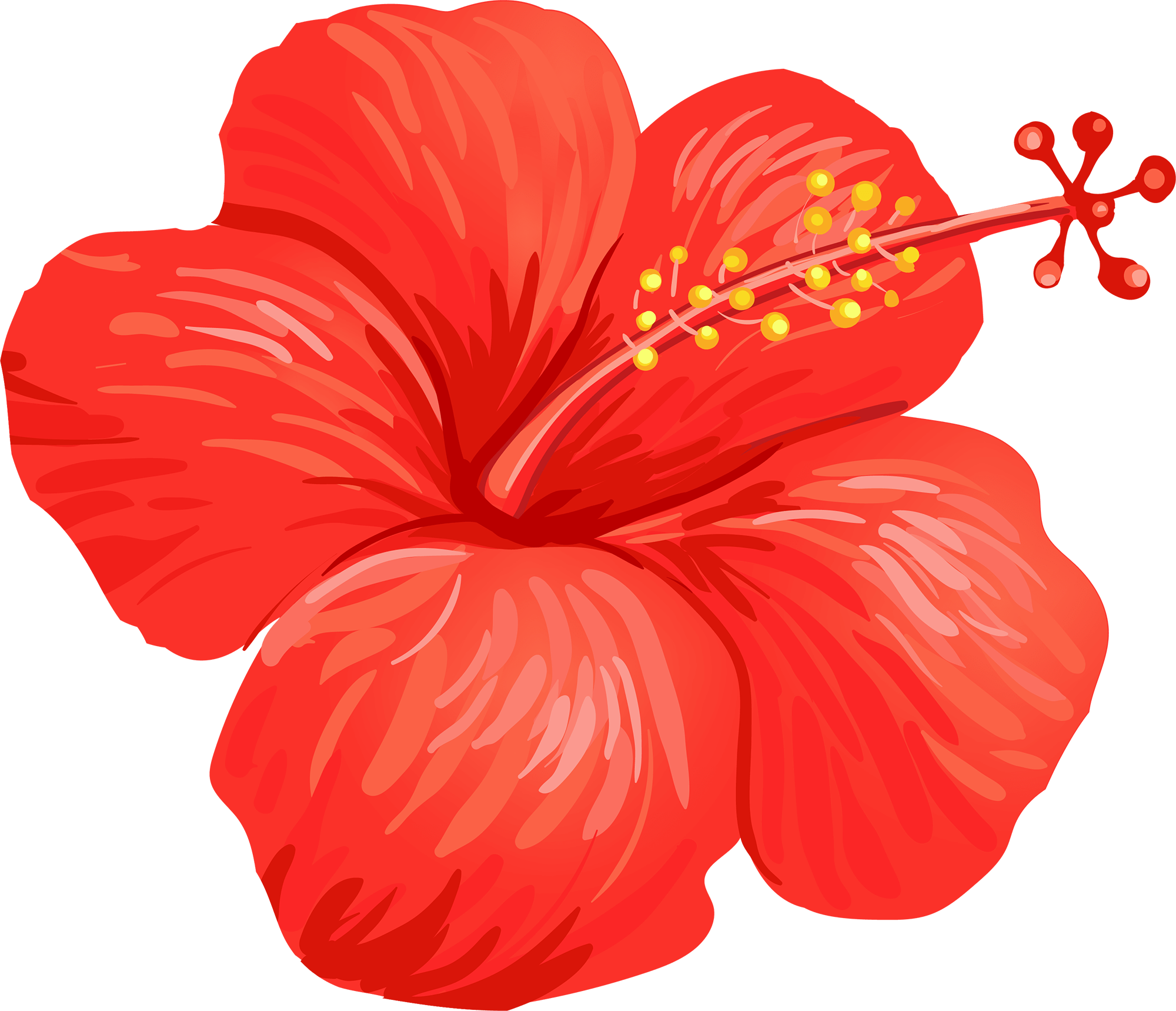 Flower Shoeblackplant Hawaiian Hibiscus Sticker Clip Art Flower Png