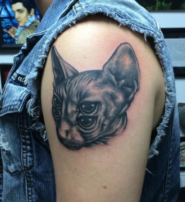 Four Eyed Sphinx Cat By Anthony French At Trilogy Tattoo Virginia