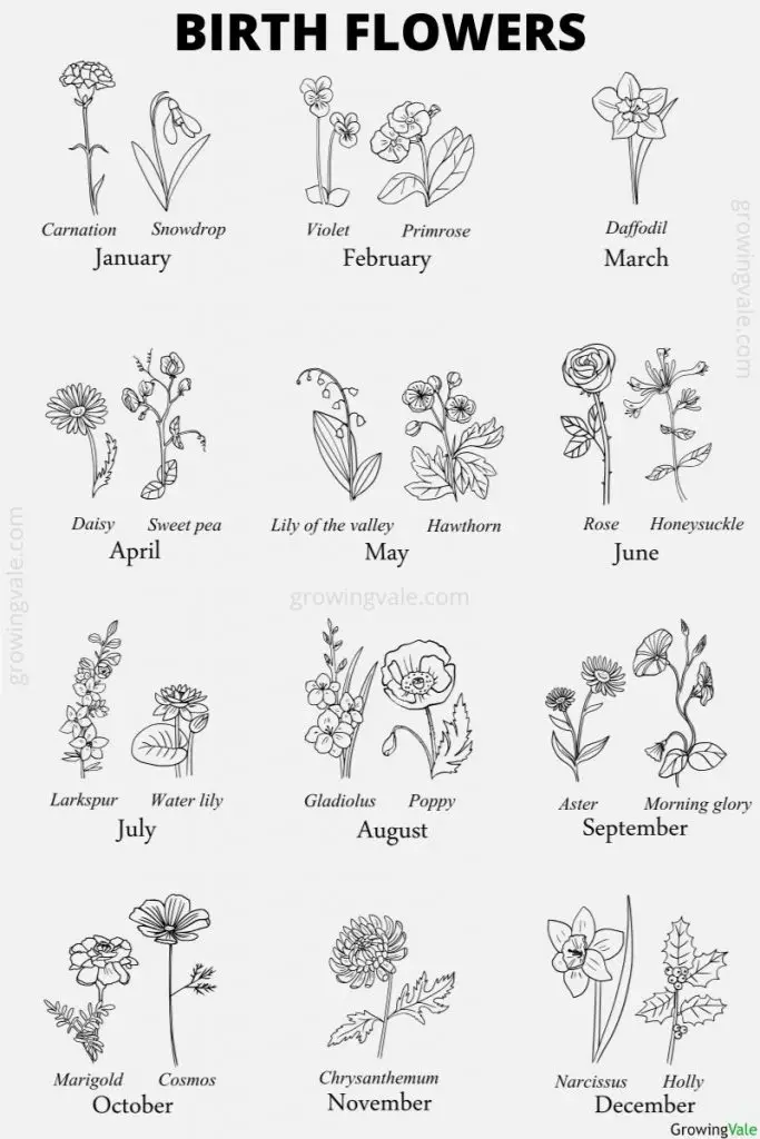 Free Birth Flower Chart With Meanings Birth Flower Tattoos Birth