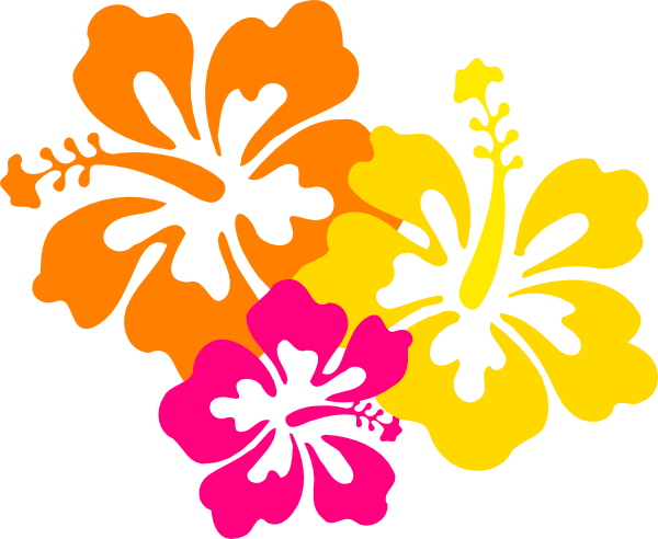 Free Hawaiian Flower Drawing Download Free Hawaiian Flower Drawing Png