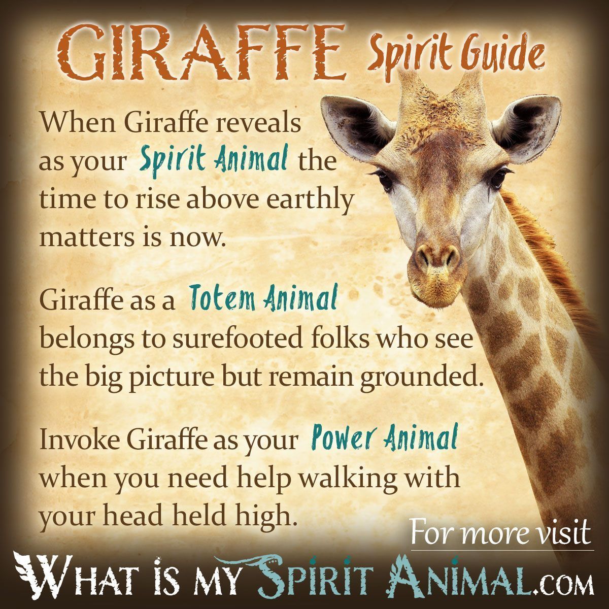 Giraffe Symbolism Meaning Spirit Totem Power Animal