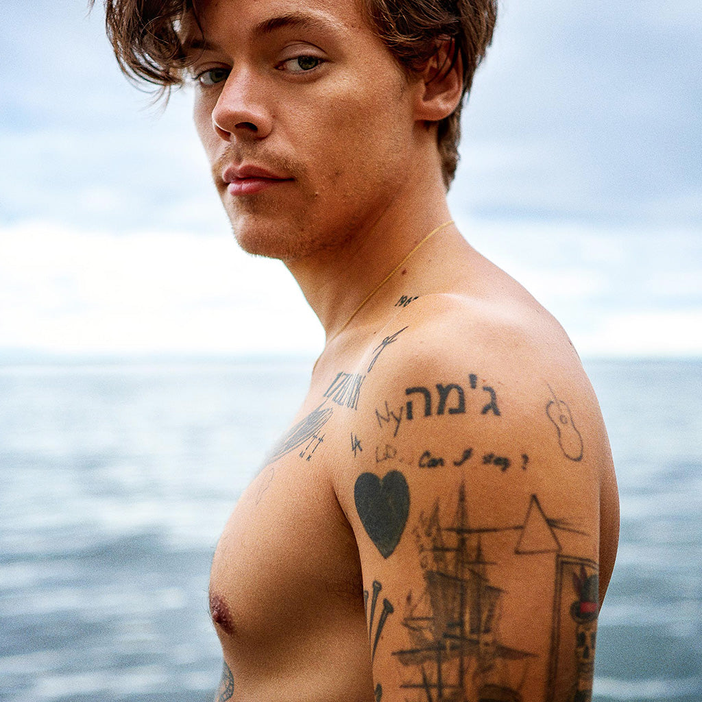 Harry Styles Tattoo Mariposa De Harry Styles Tatuajes Minimalistas